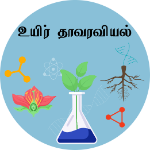 உயிர் தாவரவியல்